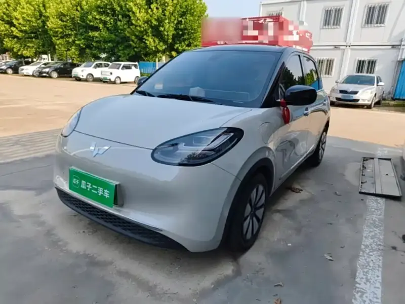 Wuling Bingo, 2024