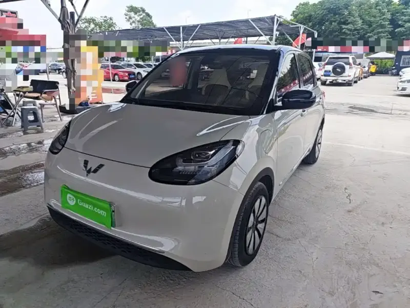 Wuling Bingo, 2024