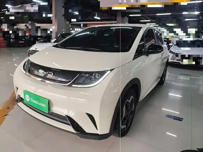 BYD Dolphin, 2022