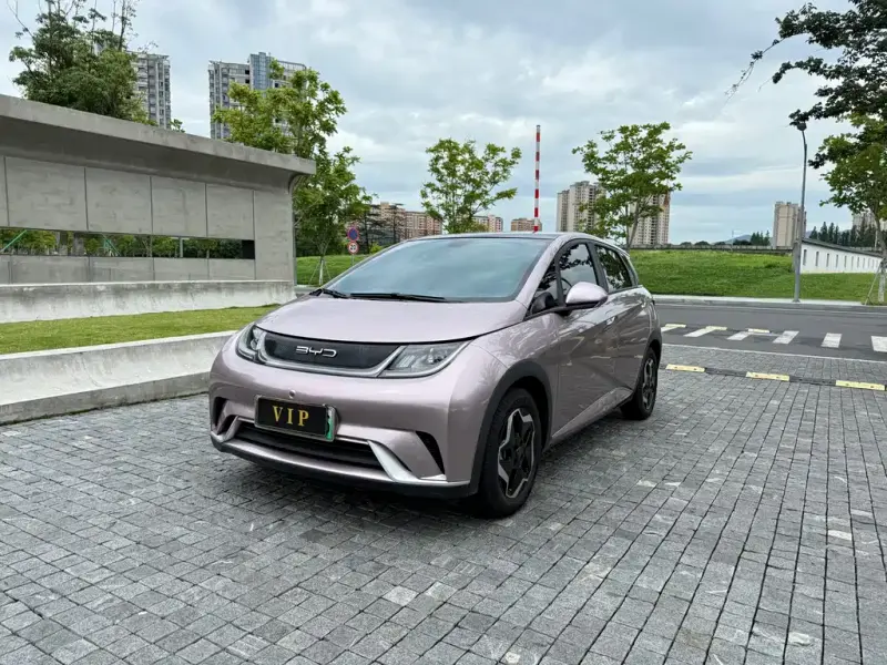 BYD Dolphin, 2022