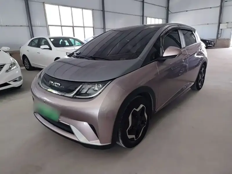 BYD Dolphin, 2022