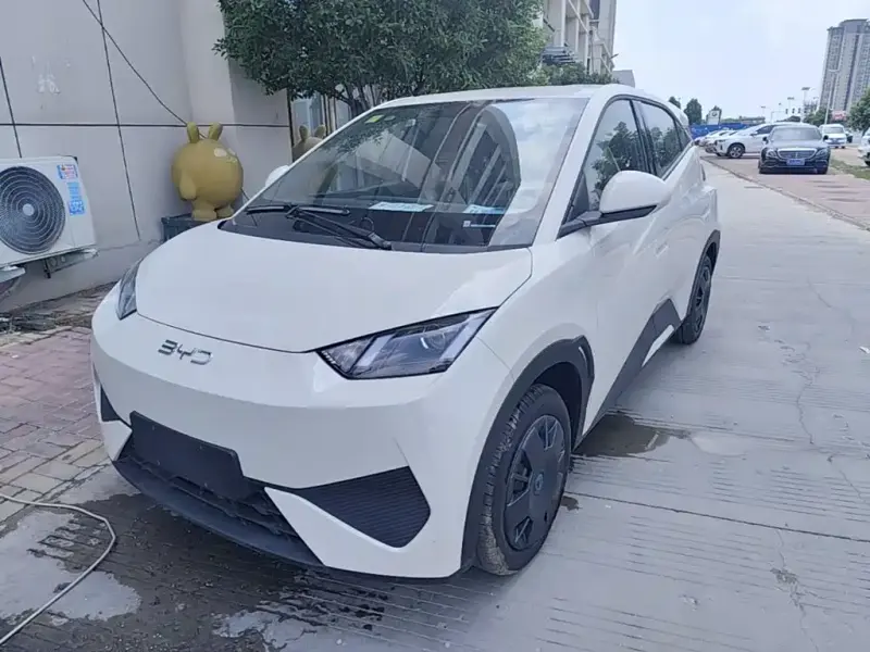 BYD Seagull, 2026