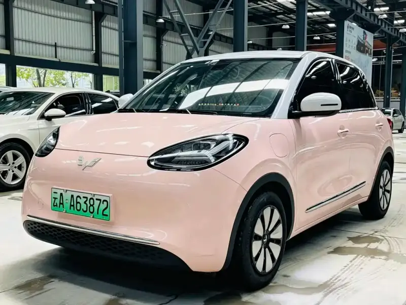 Wuling Bingo, 2024