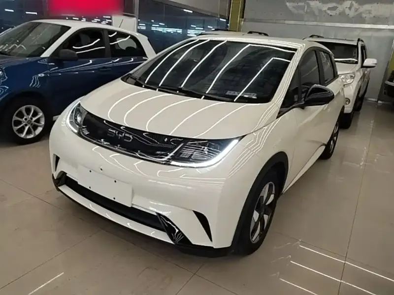 BYD Dolphin, 2024