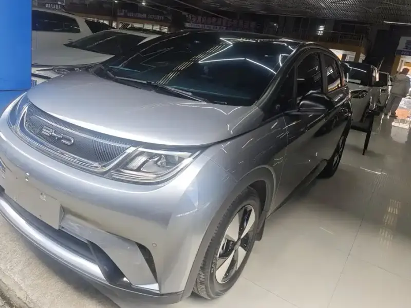BYD Dolphin, 2023