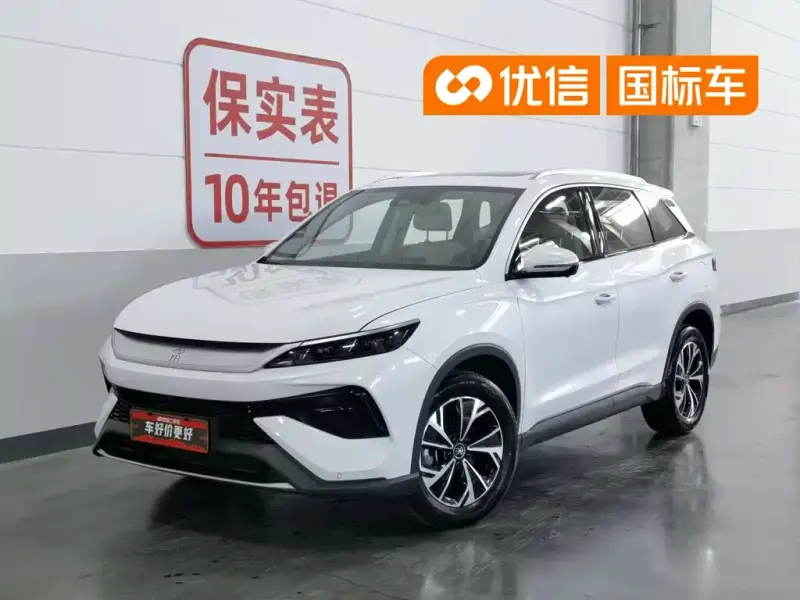 BYD Pro New Energy, 2025