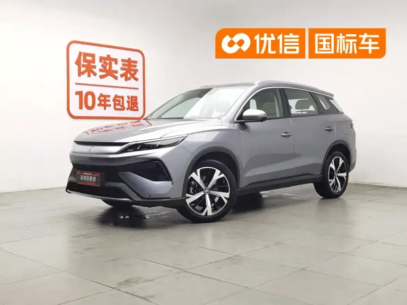 BYD Pro New Energy, 2024