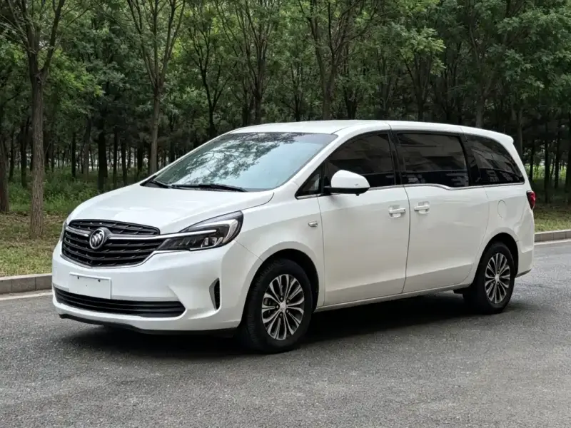 Buick GL8, 2020
