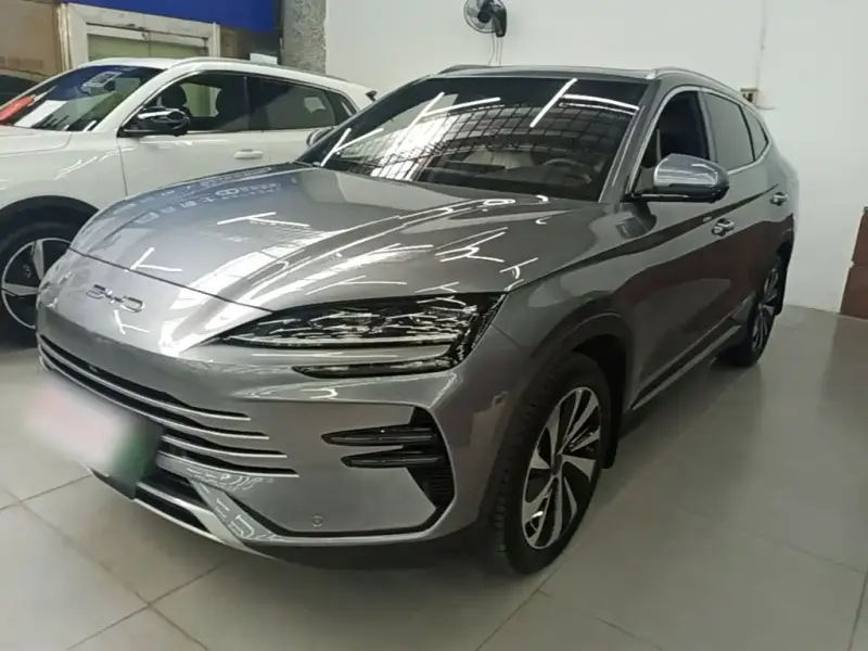 BYD PLUS New Energy, 2024