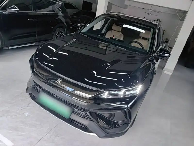 BYD Pro New Energy, 2025