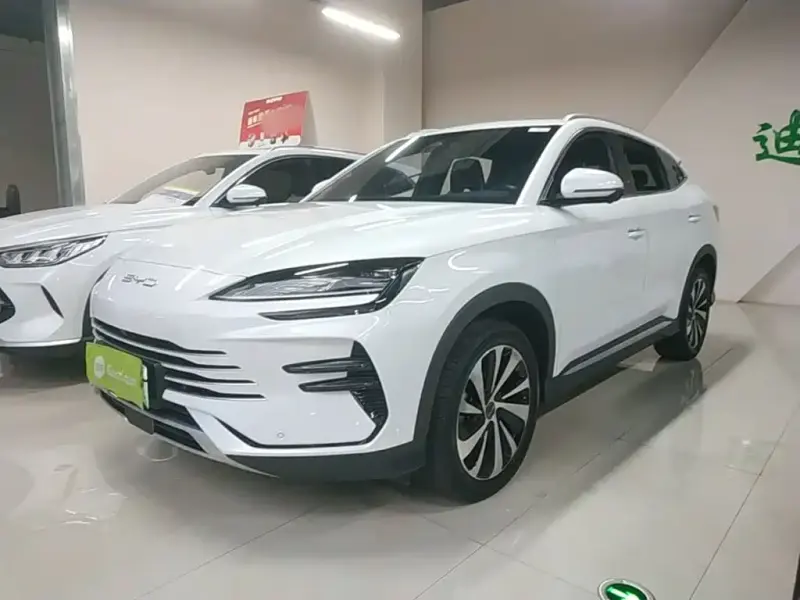 BYD PLUS New Energy, 2024