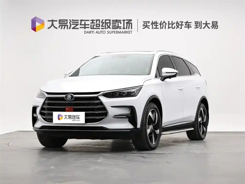 BYD Tang New Energy, 2023