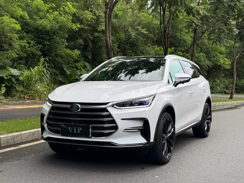 BYD Tang New Energy, 2021