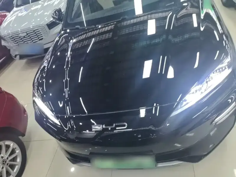 BYD PLUS New Energy, 2024