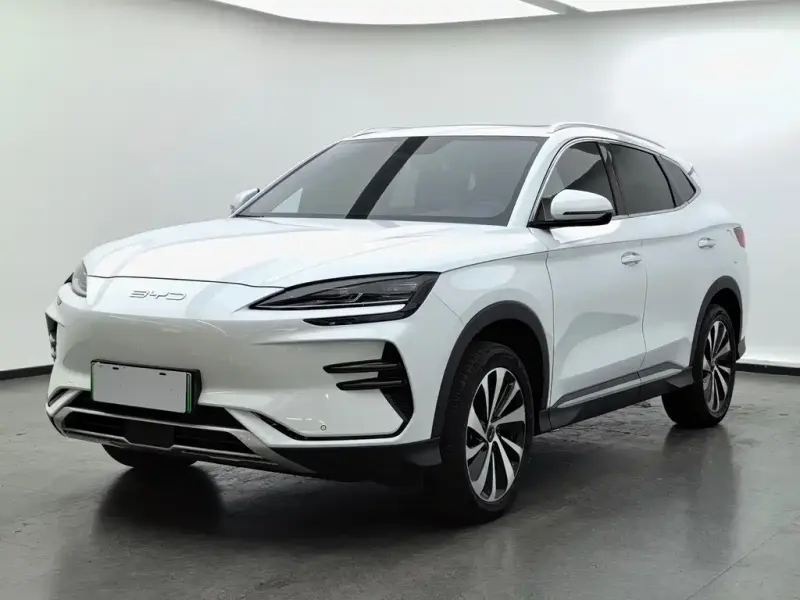 BYD PLUS New Energy, 2024