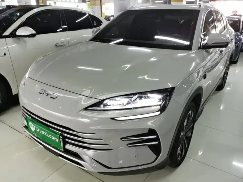 BYD PLUS New Energy, 2025