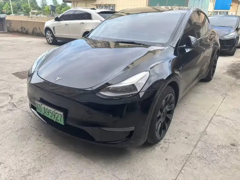 Tesla Model Y, 2021