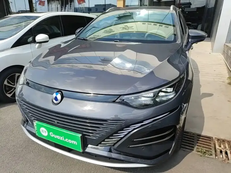 Denza N8, 2024