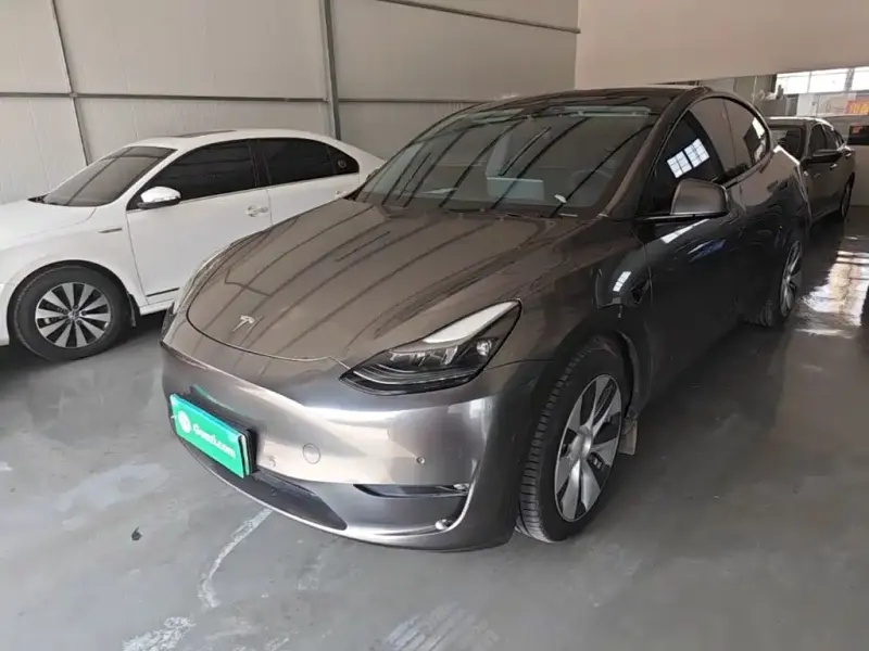 Tesla Model Y, 2021