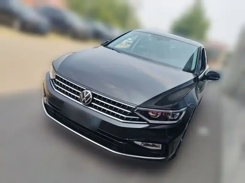 Volkswagen Magotan, 2024