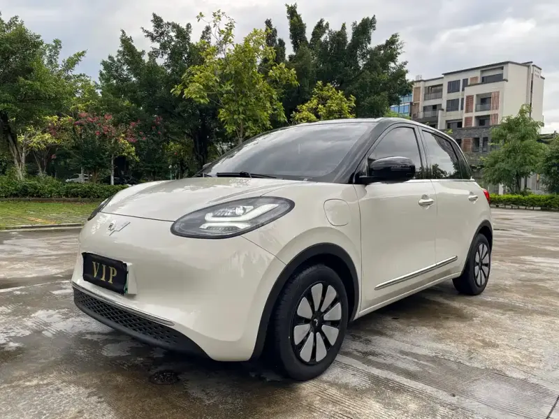 Wuling Bingo, 2024