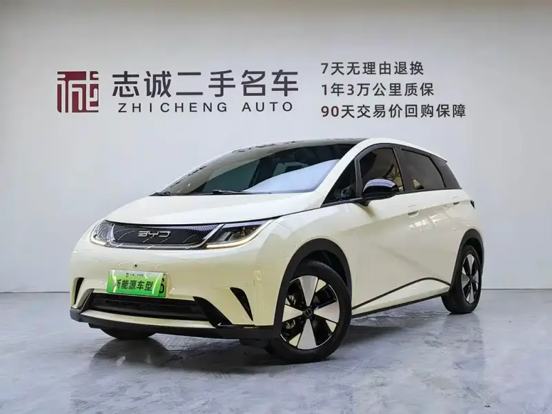 BYD Dolphin, 2024