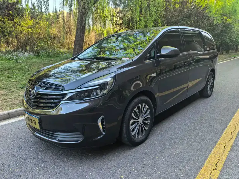 Buick GL8, 2020