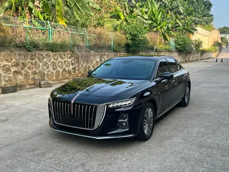 Hongqi H5, 2024
