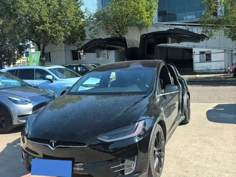 Tesla Model X, 2019