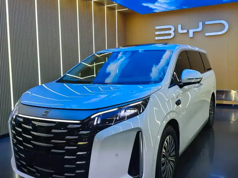 BYD Xia, 2025