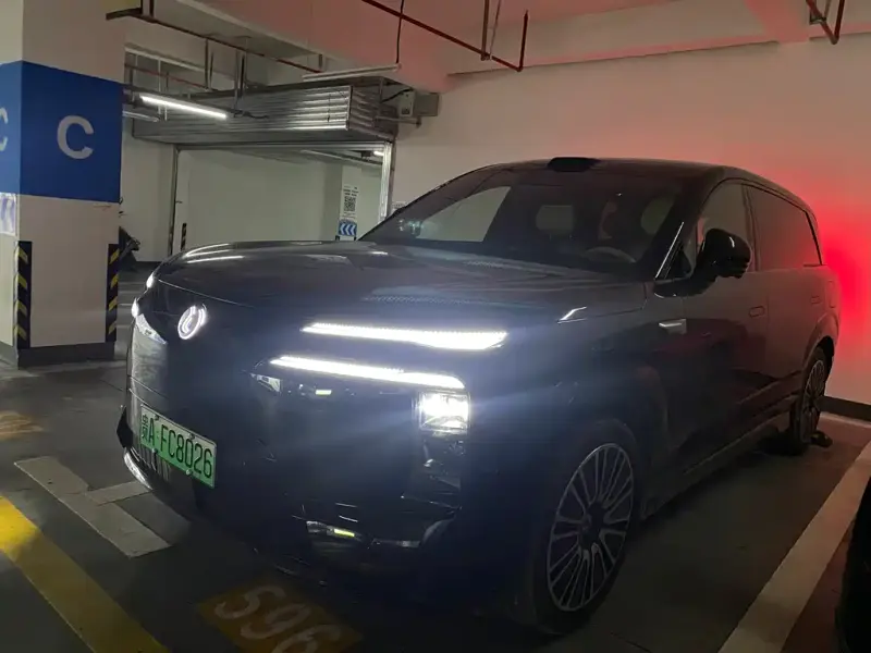 Denza N8L, 2025