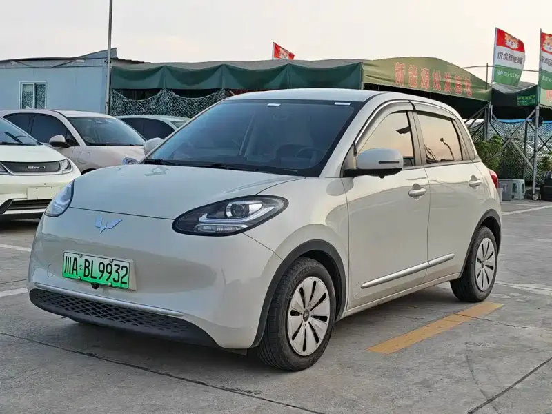 Wuling Bingo, 2023