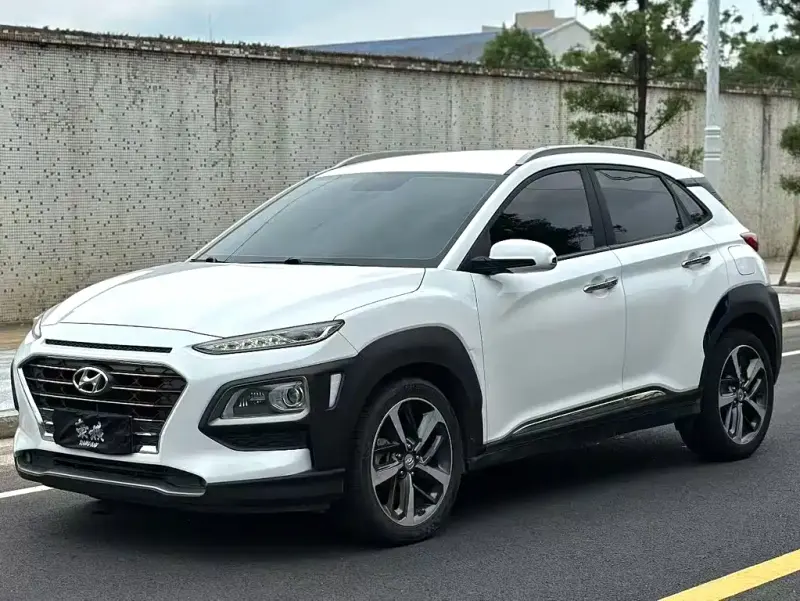 Hyundai Encino, 2019