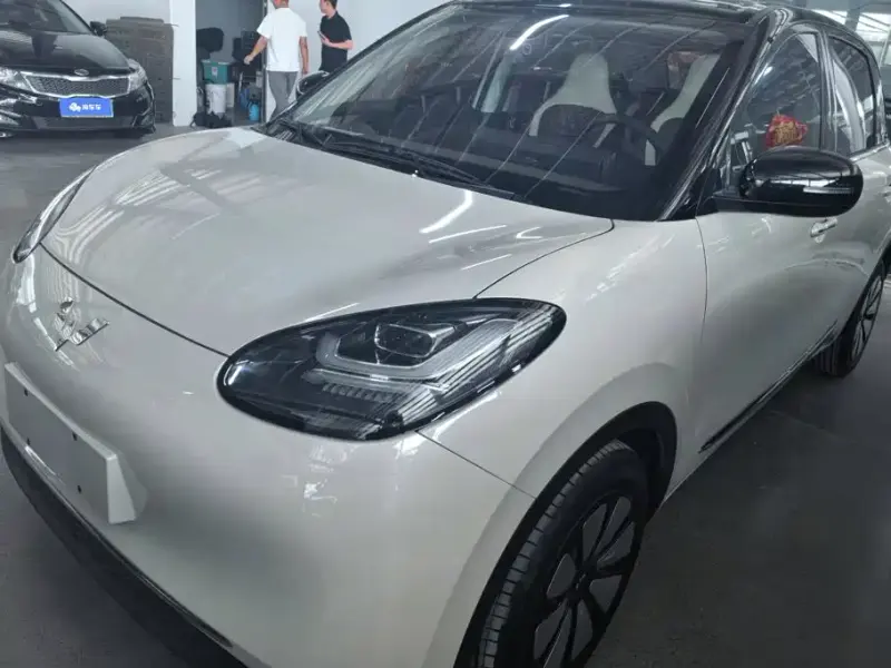 Wuling Bingo, 2024