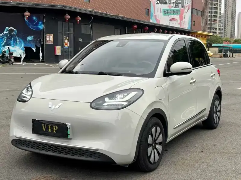 Wuling Bingo, 2023