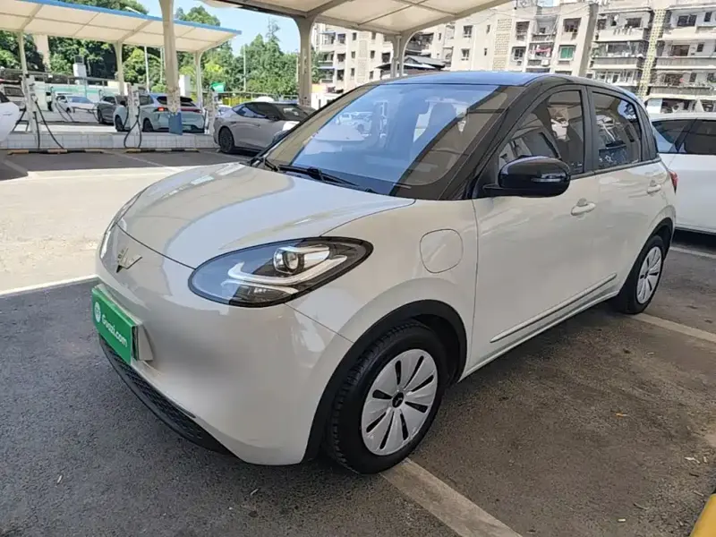 Wuling Bingo, 2023
