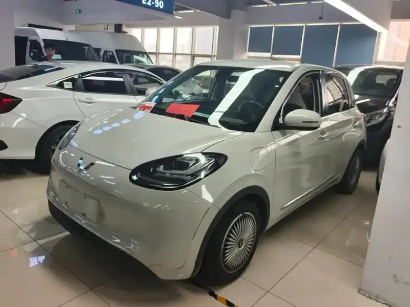 Wuling Bingo, 2023