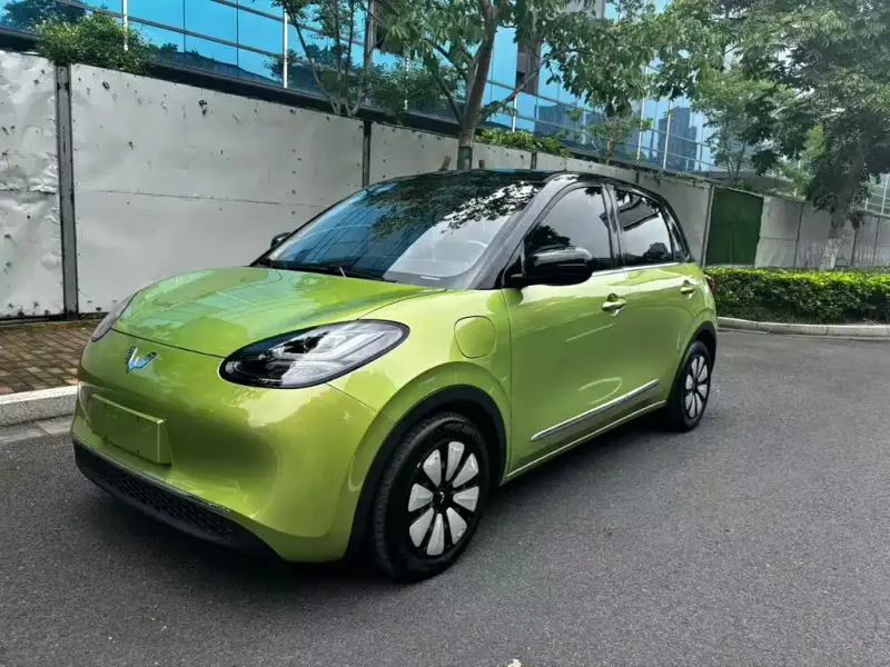 Wuling Bingo, 2023
