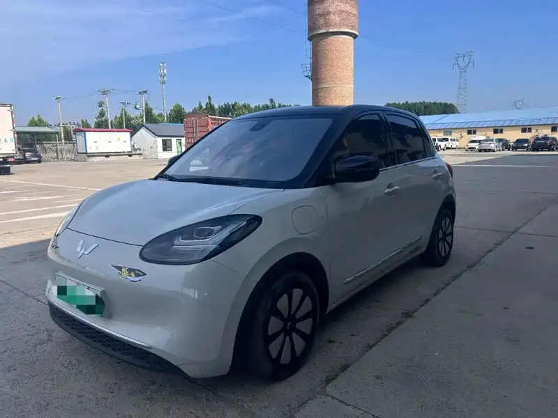 Wuling Bingo, 2023