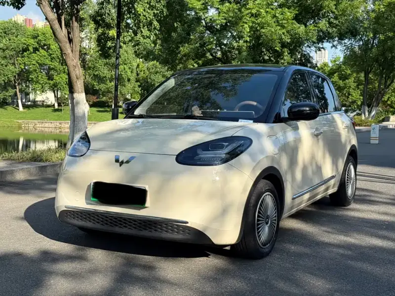 Wuling Bingo, 2025