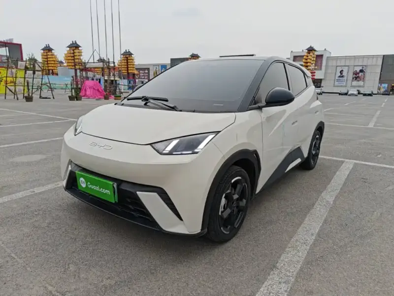 BYD Seagull, 2024