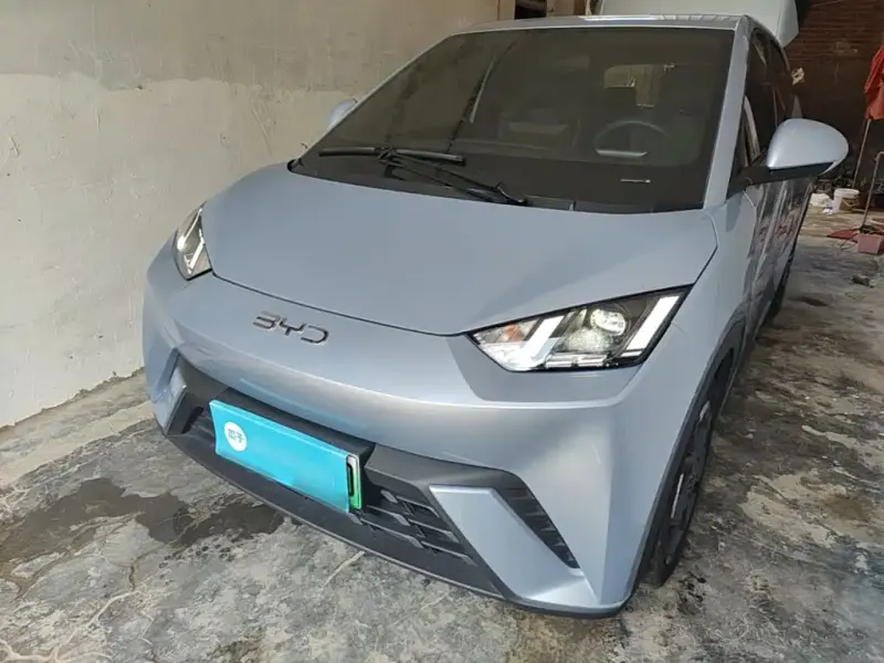 BYD Seagull, 2024