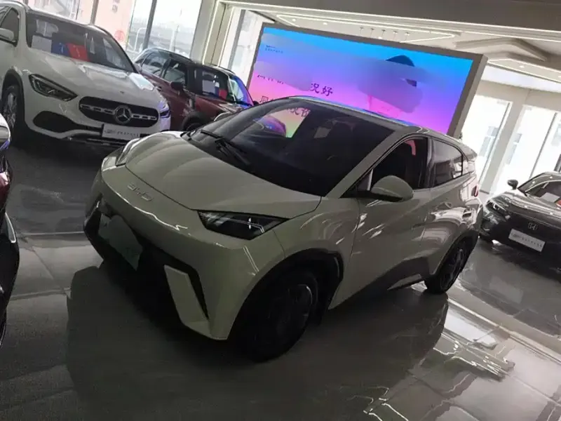 BYD Seagull, 2023