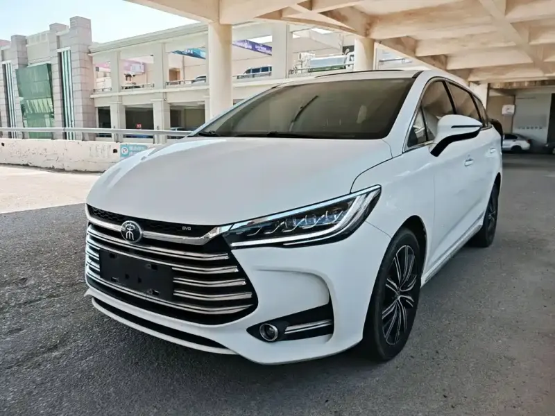 BYD MAX New Energy, 2020