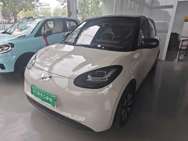 Wuling Bingo, 2024