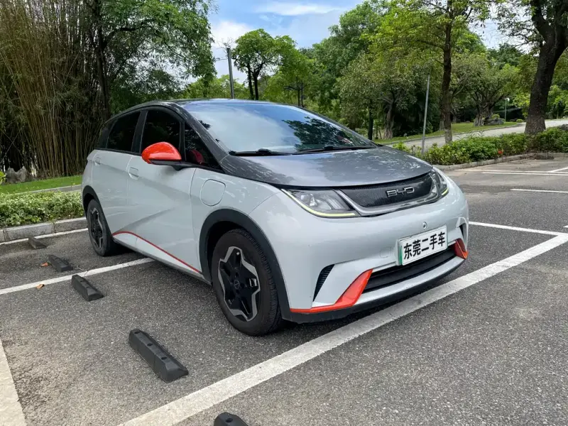 BYD Dolphin, 2022