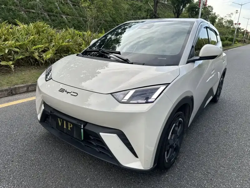 BYD Seagull, 2023