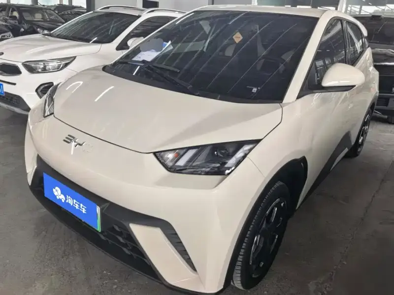 BYD Seagull, 2024