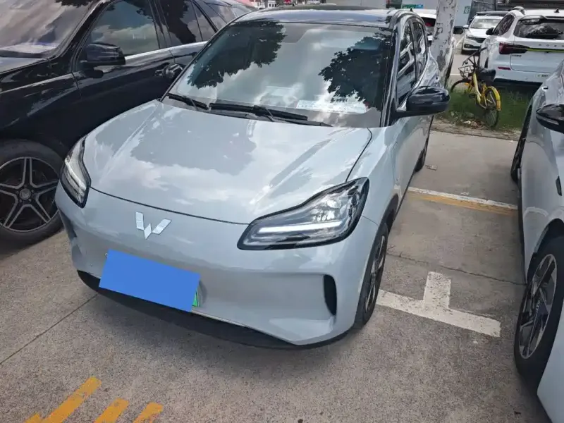 Wuling Bingo PLUS, 2024