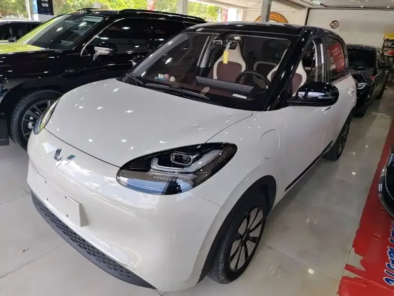 Wuling Bingo, 2024
